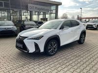 Gebraucht Lexus UX 250h Sport Design Packet 184 PS (135 kW) 2023 F white SUV