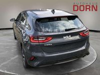 Neu Kia Ceed Spirit 140 PS (102 kW) 2025 Kleinwagen