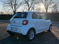 Gebraucht Smart ForFour Electric Drive 60 kW (82 PS) 2018 Weiß Kleinwagen