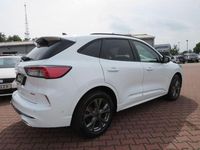 Gebraucht Ford Kuga ST-Line 152 PS (111 kW) 2024 Weiß SUV
