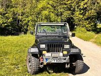 Gebraucht Jeep Wrangler 184 PS (135 kW) 1995 Schwarz SUV