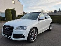 Gebraucht Audi SQ5 Competition 326 PS (239 kW) 2016 Weiß SUV