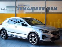 Gebraucht Kia XCeed Platinum 140 PS (102 kW) 2020 (kcs) sparklingsilber met. SUV