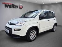Gebraucht Fiat Panda 69 PS (50 kW) 2024 Weiß Kleinwagen