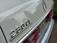 Gebraucht Mercedes 280 177 PS (130 kW) 1977 Weiß