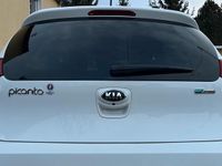 Gebraucht Kia Picanto 87 PS (63 kW) 2016 Weiß Kleinwagen