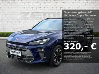 Gebraucht Cupra Terramar 150 PS (110 kW) 2025 Blau SUV