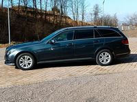 Gebraucht Mercedes E220 170 PS (125 kW) 2014 Grau Kombi