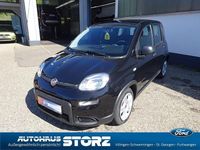 Gebraucht Fiat Panda 69 PS (50 kW) 2024 Colore esterno (cinema schwarz Kleinwagen