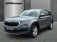 Gebraucht Skoda Kodiaq Ambition 150 PS (110 kW) 2022 Grau SUV