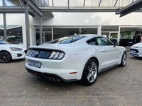 gebraucht Ford Mustang GT Fastback 5.0 Ti-VCT V8 Aut.