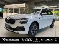 Gebraucht Skoda Kamiq Tour 116 PS (85 kW) 2026 (moonweiss metallic) SUV