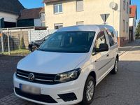 Gebraucht VW Caddy 110 PS (80 kW) 2016 Weiß Van / Kleinbus