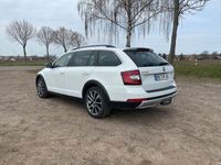 gebraucht Skoda Octavia Scout 4X4 DSG 183PS Vollausstattung