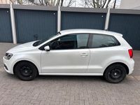 Gebraucht VW Polo 90 PS (66 kW) 2017 Weiß Kleinwagen
