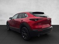 Gebraucht Mazda CX-30 Nagisa 140 PS (102 kW) 2025 SUV