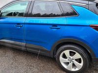 Gebraucht Opel Grandland X 131 PS (96 kW) 2019 Blau SUV