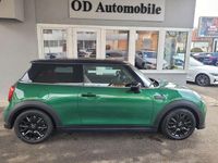Gebraucht Mini Cooper Classic 136 PS (100 kW) 2023 Grün Kleinwagen