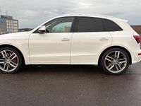 Gebraucht Audi SQ5 Design 313 PS (230 kW) 2015 Weiß SUV