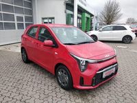 Neu Kia Picanto Vision 68 PS (50 kW) 2026 Rot Kleinwagen