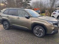 Neu Subaru Forester Active 136 PS (100 kW) 2026 Autumn green SUV