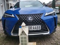 Gebraucht Lexus UX 250h E-FOUR Luxury Line 184 PS (135 kW) 2019 Blau SUV