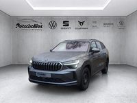Gebraucht Skoda Kodiaq Selection 193 PS (141 kW) 2024 SUV