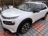 Gebraucht Citroën C4 Cactus PureTech 131 PS (96 kW) 2019 Weiß Kleinwagen