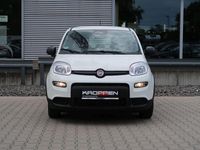 Gebraucht Fiat Panda S 69 PS (50 kW) 2025 Alpine white Kleinwagen