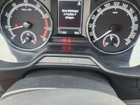 Gebraucht Skoda Octavia Drive 150 PS (110 kW) 2017 Kombi