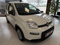 Gebraucht Fiat Panda 69 PS (50 kW) 2024 Weiß Limousine