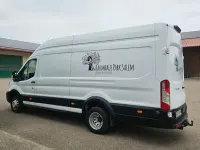Gebraucht Ford Transit 170 PS (125 kW) 2020 Weiß Van / Kleinbus
