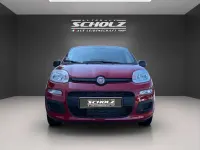 Neu Fiat Panda 69 PS (50 kW) 2025 Rot Kleinwagen