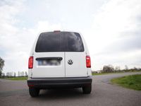 Gebraucht VW Caddy 75 PS (55 kW) 2016 Weiß Van / Kleinbus