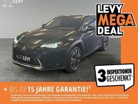 Gebraucht Lexus UX 250h 184 PS (135 kW) 2021 Graphitschwarz SUV
