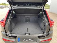 Gebraucht Volvo XC40 120 PS (88 kW) 2025 SUV