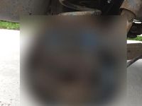 Gebraucht Mercedes G250 92 PS (67 kW) 1993 Grün SUV