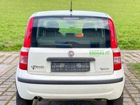 Gebraucht Fiat Panda 60 PS (44 kW) 2009 Weiß Kleinwagen