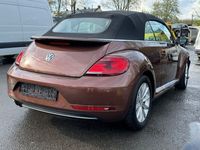 gebraucht VW Beetle Cabriolet Design BMT/Start-Stopp