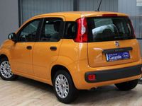 gebraucht Fiat Panda Easy/Klima/ZV/Scheckheft/org.29.470 KM