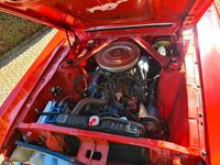 Gebraucht Ford Mustang 200 PS (147 kW) 1967 Rot Cabrio