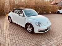 Gebraucht VW Beetle Allstar 104 PS (76 kW) 2016 Weiß Kleinwagen