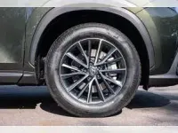 Neu Lexus NX450h+ 292 PS (214 kW) 2026 Grün (grün / norigrün) SUV