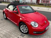 Gebraucht VW Beetle 150 PS (110 kW) 2016 Rot Kleinwagen