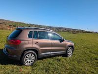 Gebraucht VW Tiguan Life 140 PS (102 kW) 2013 Braun SUV