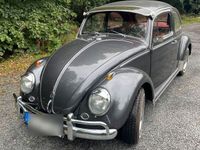 gebraucht VW Käfer bj 1962 absolutes Einzelstück