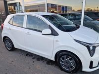 Neu Kia Picanto Vision 67 PS (49 kW) 2026 Weiß Kleinwagen