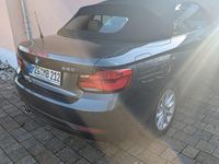 Gebraucht BMW 220 Advantage 184 PS (135 kW) 2018 Grau Cabrio