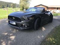 gebraucht Ford Mustang GT Mustang Cabrio 5.0 Ti-VCT V8 Aut.