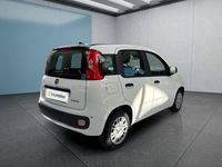 Neu Fiat Panda 69 PS (50 kW) 2025 Weiß Kleinwagen